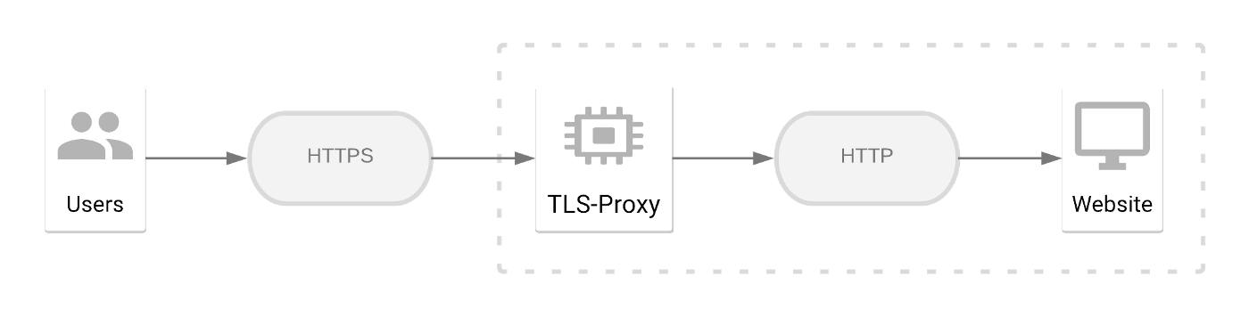 TLS reverse proxy